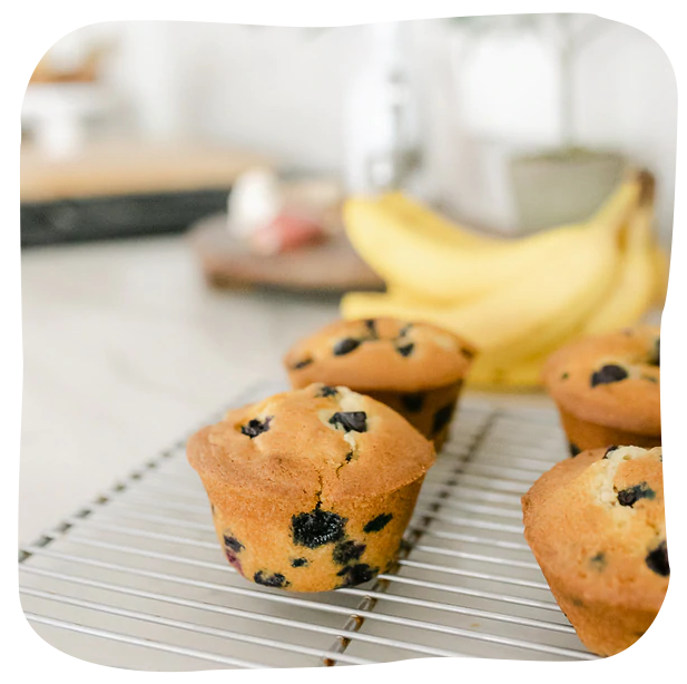 Blueberry Muffin Recipe with Gluten Free, Dairy Free, and Vegan Alternatives!